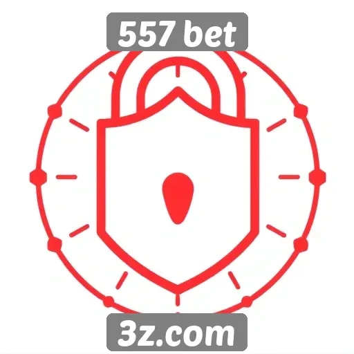 Investimento em segurança no site 557 bet